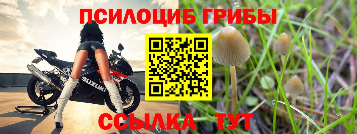 Псилоцибиновые грибы ЛСД Кудрово