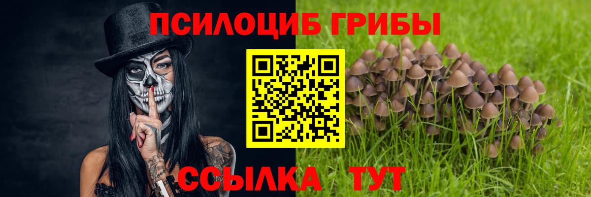 Галлюциногенные грибы MAGIC MUSHROOMS  Вход с VPN  Галлюциногенные грибы ЛСД  Кудрово 